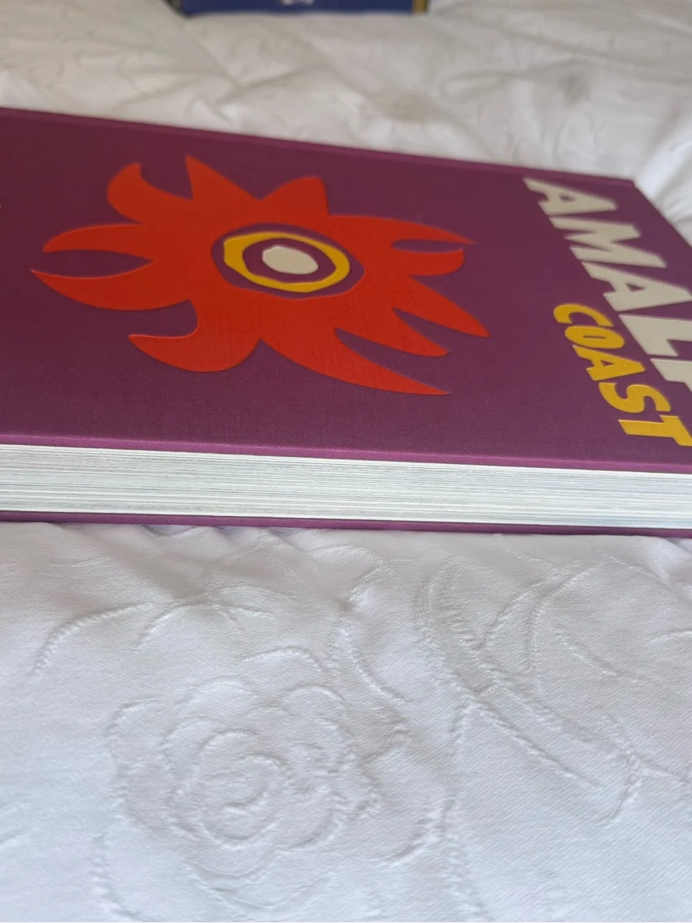Assouline Amalfi Coast Hardcover Coffee Table Book Carlos Souza Luxe Decor